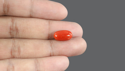 Natural Italian Red Coral (Moonga) 7.82 Carats