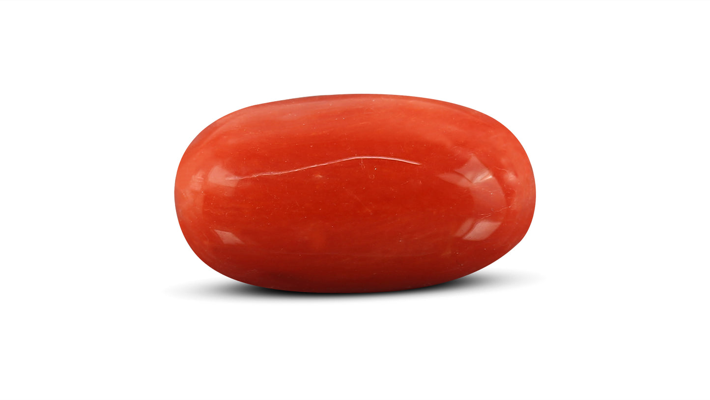 Natural Italian Red Coral (Moonga) 7.82 Carats