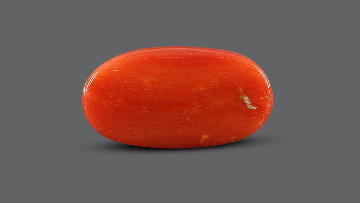 Natural Italian Red Coral (Moonga) 7.71 Carats