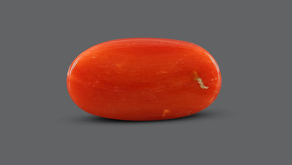 Natural Italian Red Coral (Moonga) 7.71 Carats