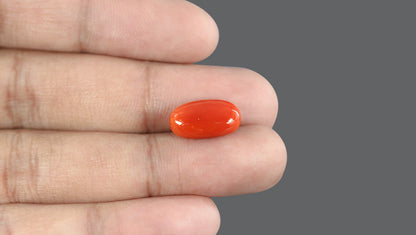 Natural Italian Red Coral (Moonga) 7.71 Carats