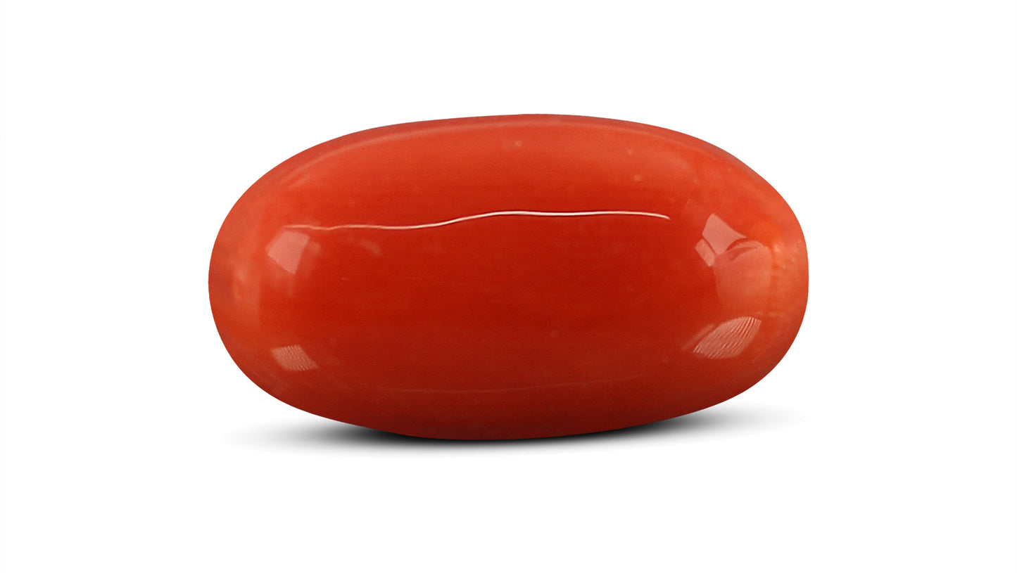 Natural Italian Red Coral (Moonga) 7.71 Carats