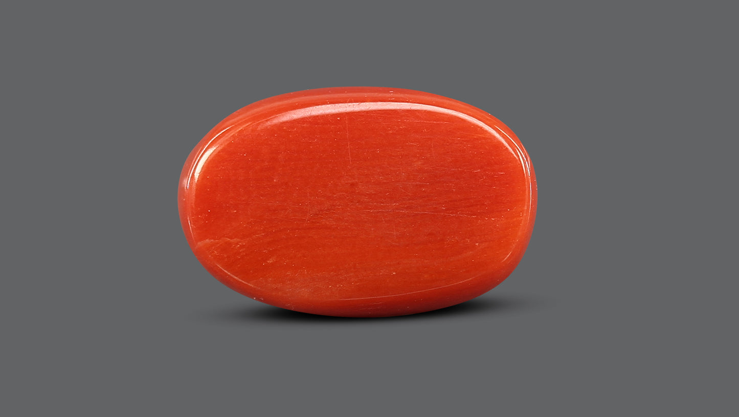 Natural Italian Red Coral (Moonga) 7.60 Carats