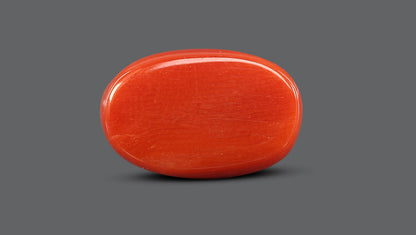 Natural Italian Red Coral (Moonga) 7.60 Carats