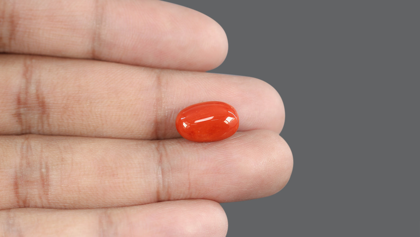 Natural Italian Red Coral (Moonga) 7.60 Carats