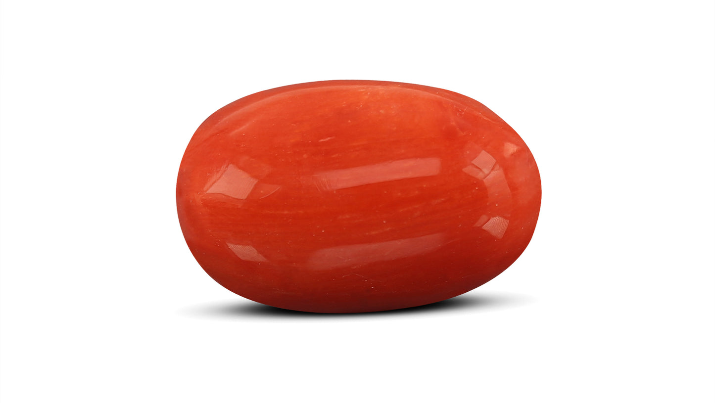 Natural Italian Red Coral (Moonga) 7.60 Carats