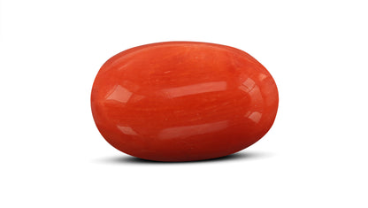 Natural Italian Red Coral (Moonga) 7.60 Carats