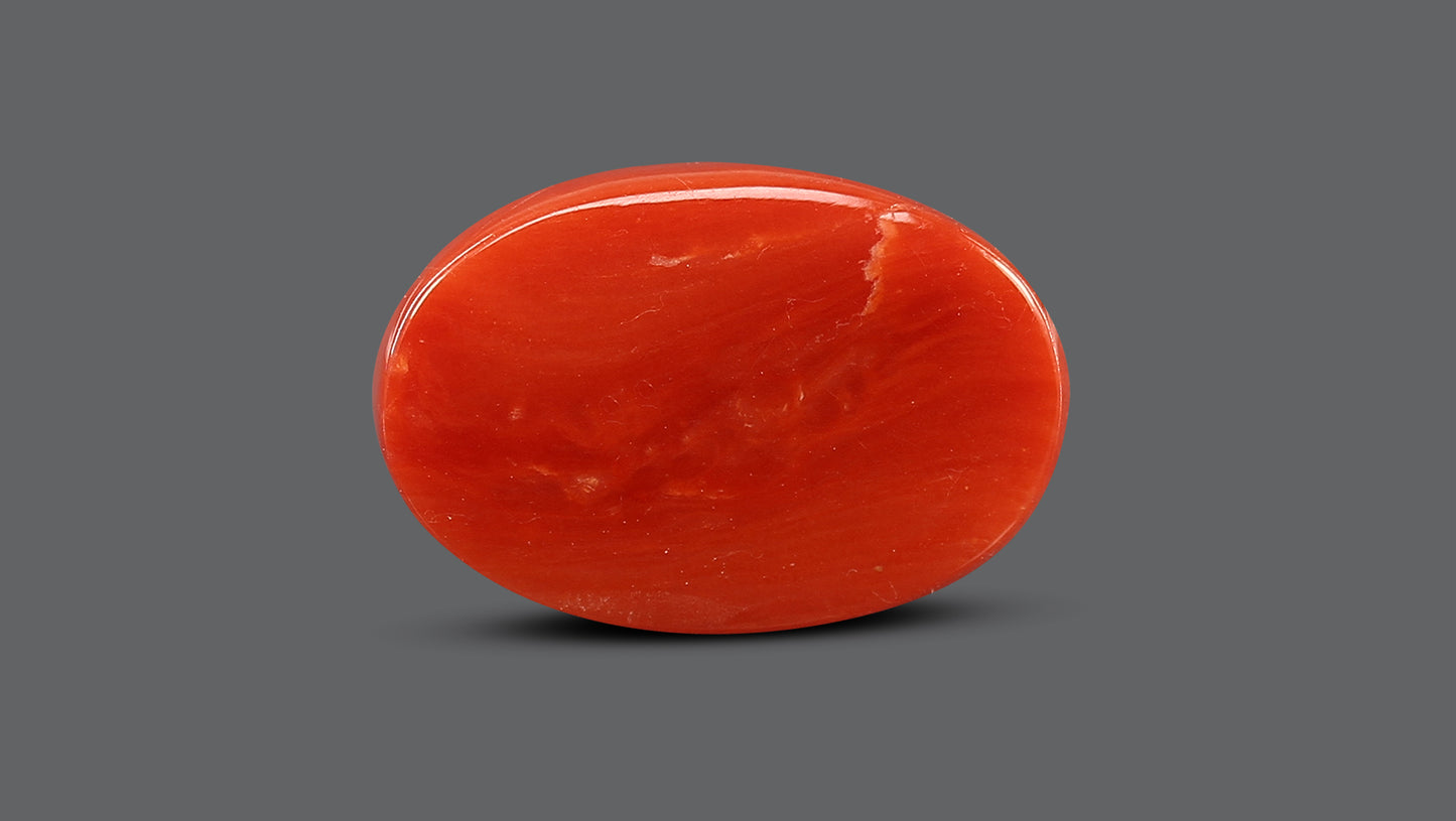 Natural Italian Red Coral (Moonga) 8.13 Carats