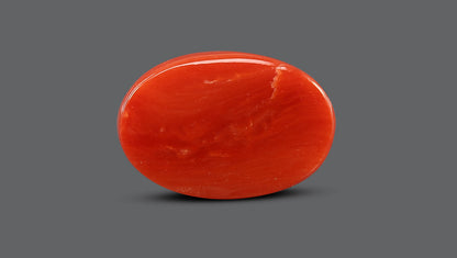 Natural Italian Red Coral (Moonga) 8.13 Carats