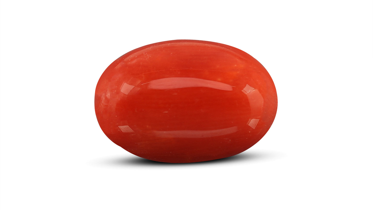 Natural Italian Red Coral (Moonga) 8.13 Carats