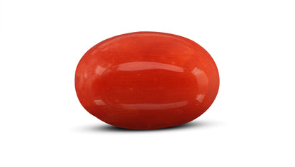 Natural Italian Red Coral (Moonga) 8.13 Carats