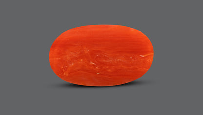 Natural Italian Red Coral (Moonga) 7.53 Carats