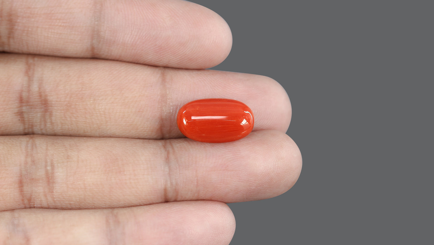 Natural Italian Red Coral (Moonga) 7.53 Carats