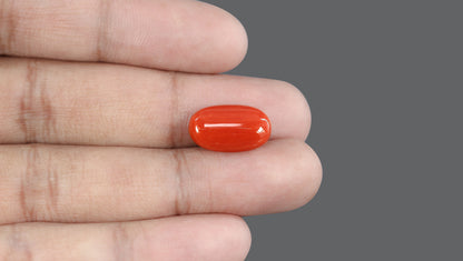 Natural Italian Red Coral (Moonga) 7.53 Carats