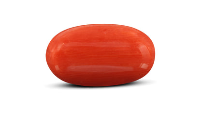 Natural Italian Red Coral (Moonga) 7.53 Carats