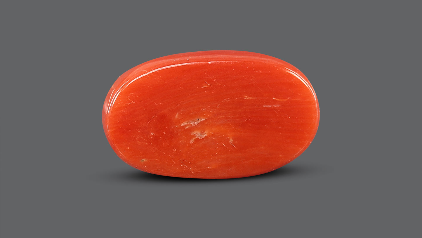 Natural Italian Red Coral (Moonga) 7.63 Carats