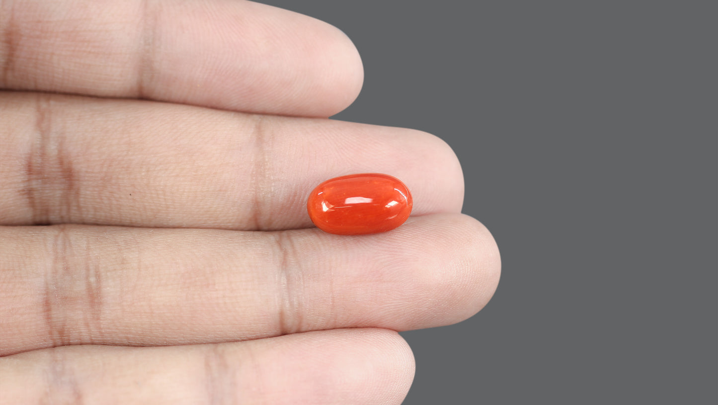 Natural Italian Red Coral (Moonga) 7.63 Carats