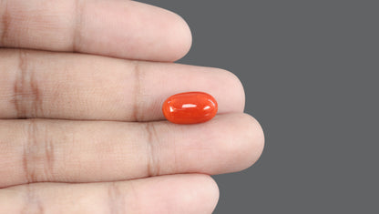 Natural Italian Red Coral (Moonga) 7.63 Carats