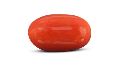 Natural Italian Red Coral (Moonga) 7.63 Carats