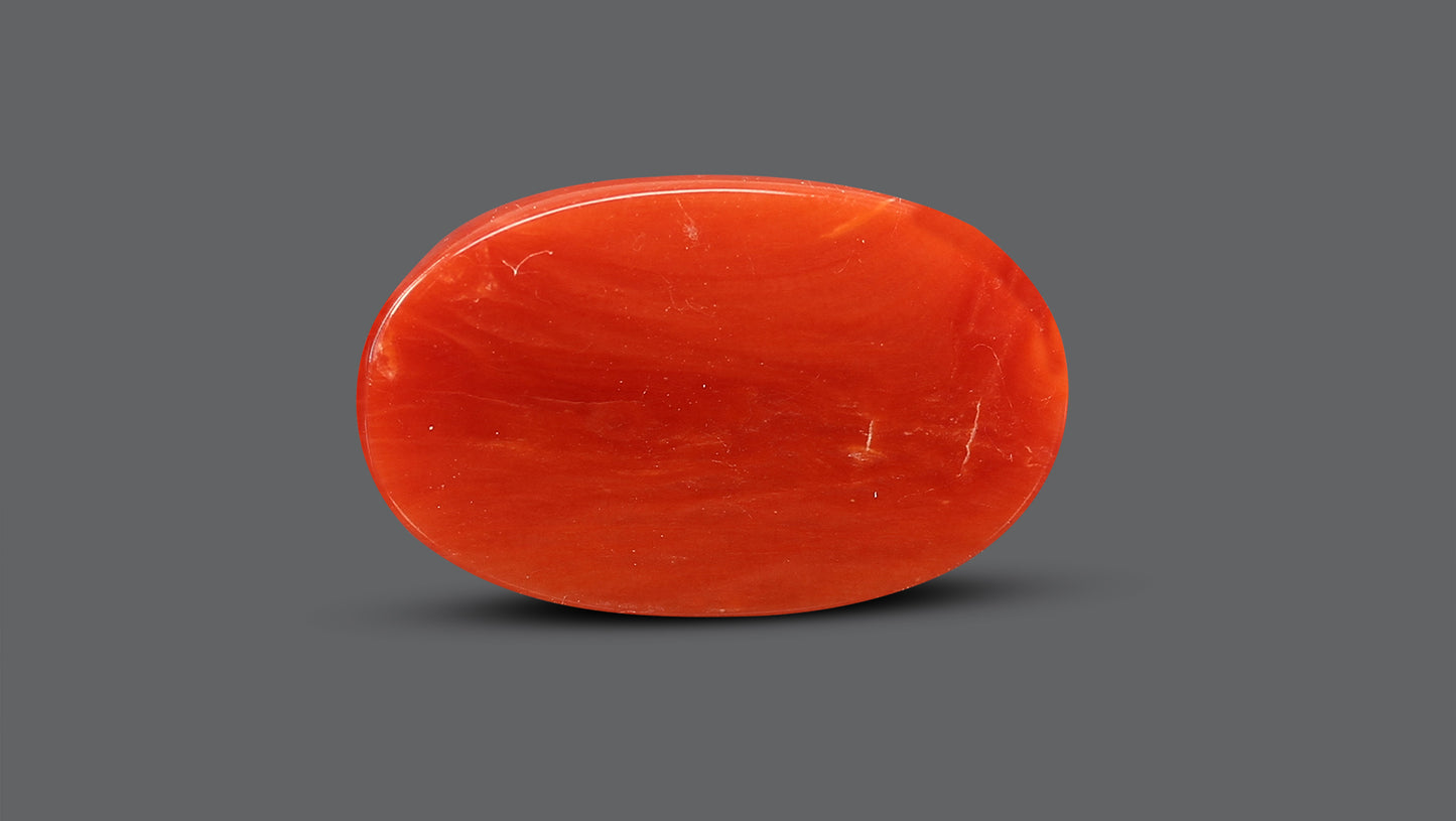 Natural Italian Red Coral (Moonga) 8.10 Carats