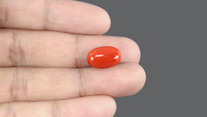 Natural Italian Red Coral (Moonga) 8.10 Carats