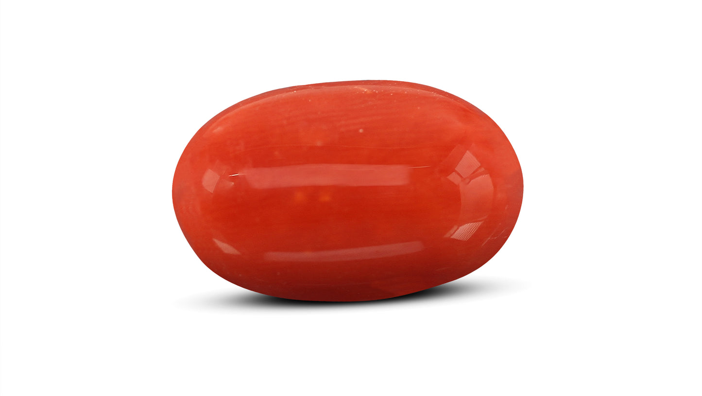 Natural Italian Red Coral (Moonga) 8.10 Carats