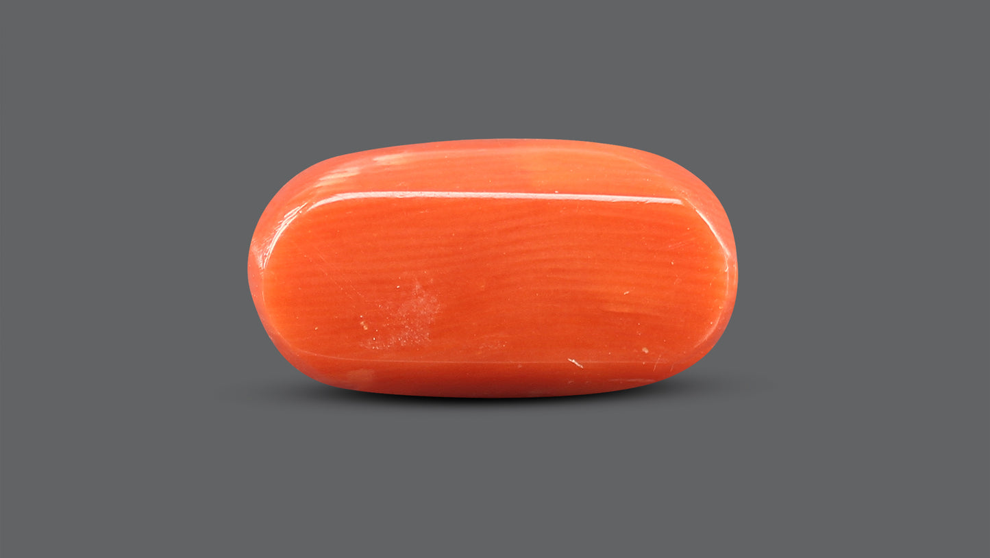 Natural Italian Red Coral (Moonga) 13.48 Carats
