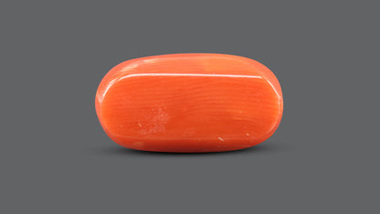 Natural Italian Red Coral (Moonga) 13.48 Carats
