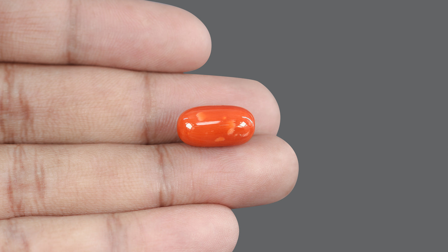 Natural Italian Red Coral (Moonga) 13.48 Carats