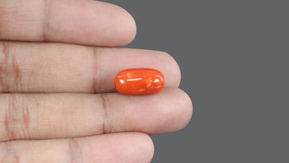 Natural Italian Red Coral (Moonga) 13.48 Carats