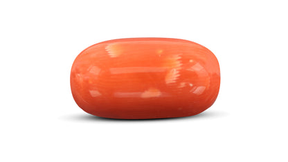 Natural Italian Red Coral (Moonga) 13.48 Carats