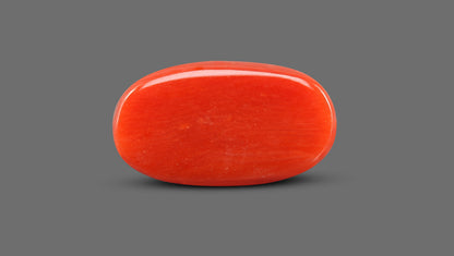 Natural Italian Red Coral (Moonga) 9.40 Carats