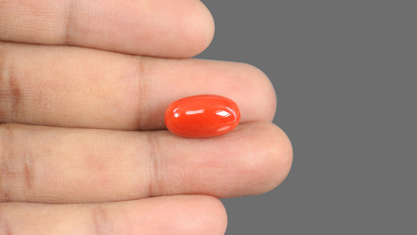 Natural Italian Red Coral (Moonga) 9.40 Carats