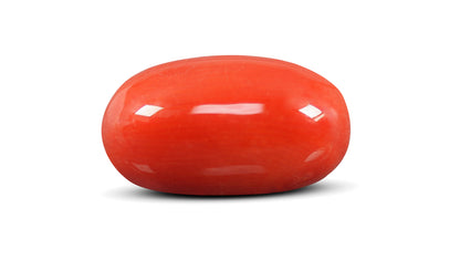 Natural Italian Red Coral (Moonga) 9.40 Carats