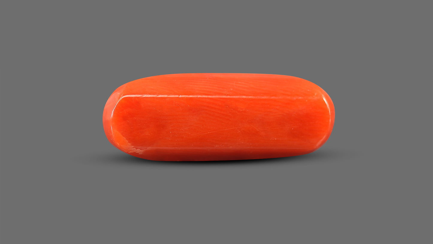 Natural Italian Red Coral (Moonga) 9.44 Carats
