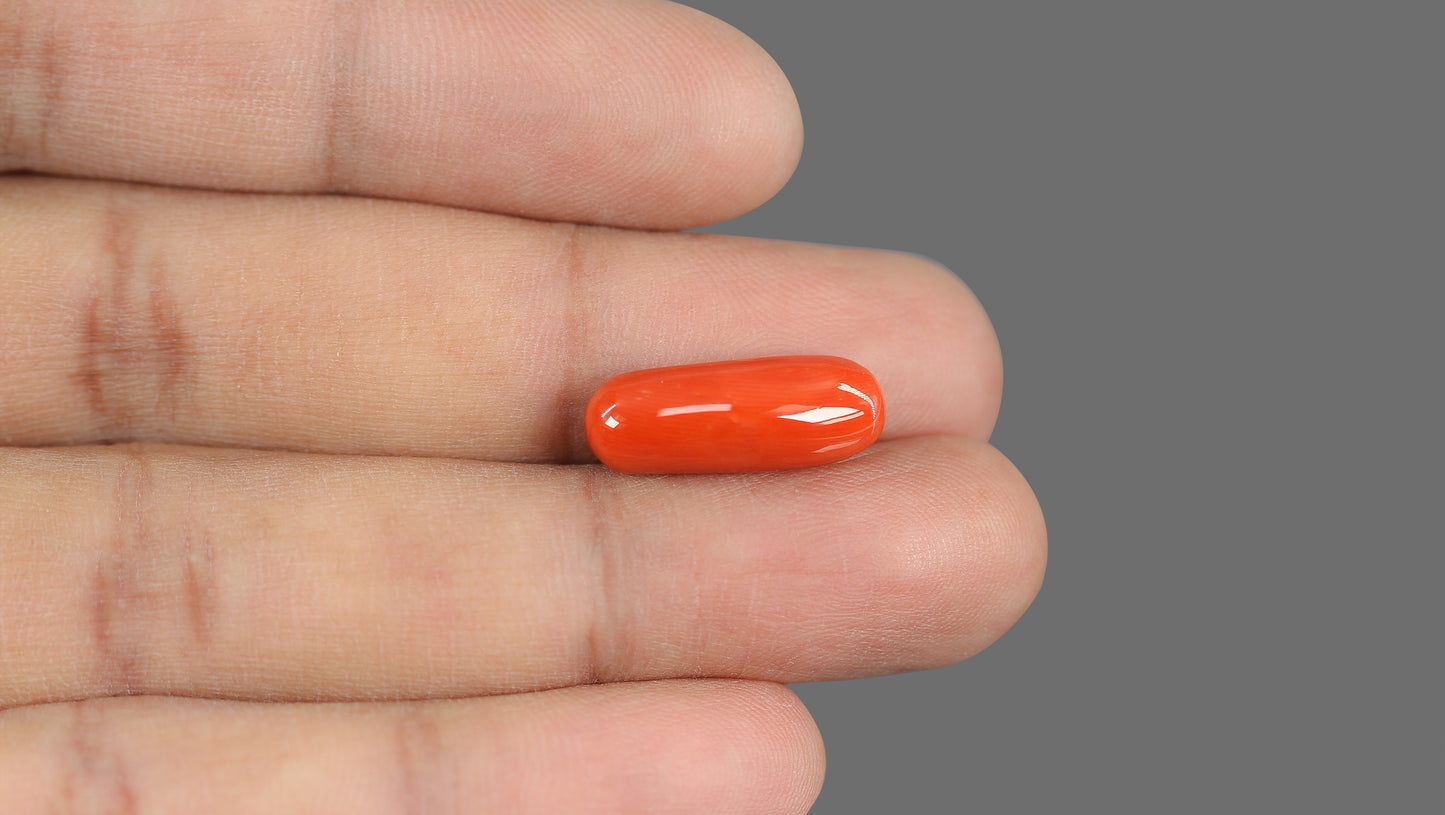 Natural Italian Red Coral (Moonga) 9.44 Carats