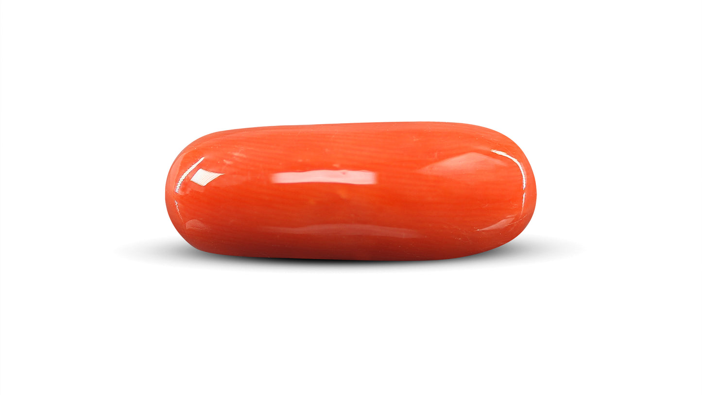 Natural Italian Red Coral (Moonga) 9.44 Carats