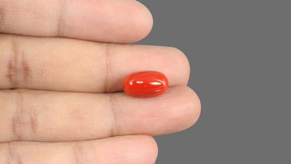 Natural Italian Red Coral (Moonga) 9.30 Carats
