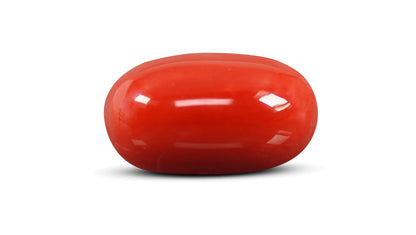 Natural Italian Red Coral (Moonga) 9.30 Carats