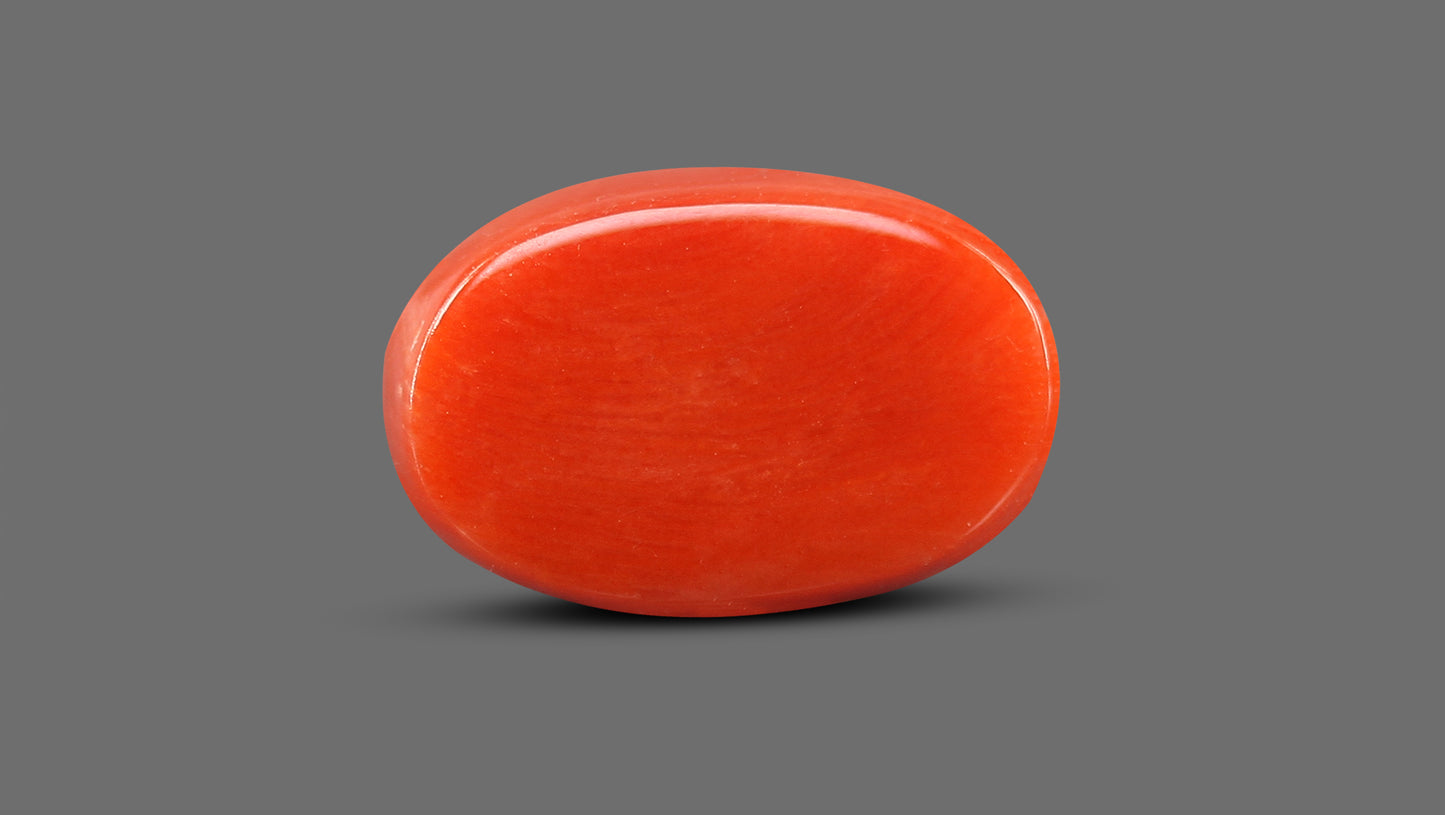 Natural Italian Red Coral (Moonga) 9.19 Carats
