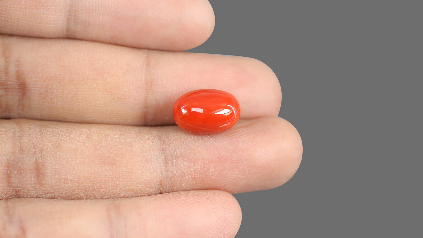 Natural Italian Red Coral (Moonga) 9.19 Carats