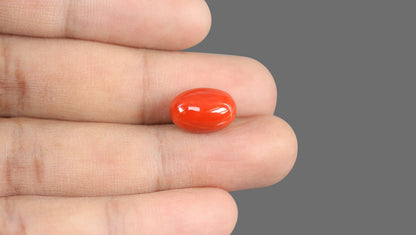 Natural Italian Red Coral (Moonga) 9.19 Carats