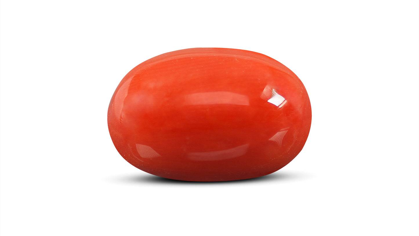 Natural Italian Red Coral (Moonga) 9.19 Carats