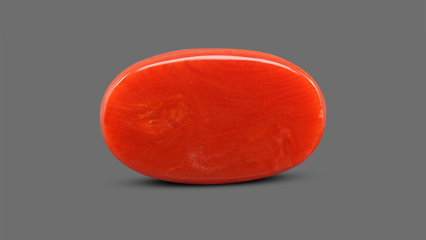 Natural Italian Red Coral (Moonga) 9.30 Carats