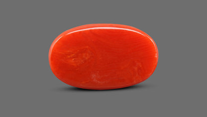 Natural Italian Red Coral (Moonga) 9.30 Carats