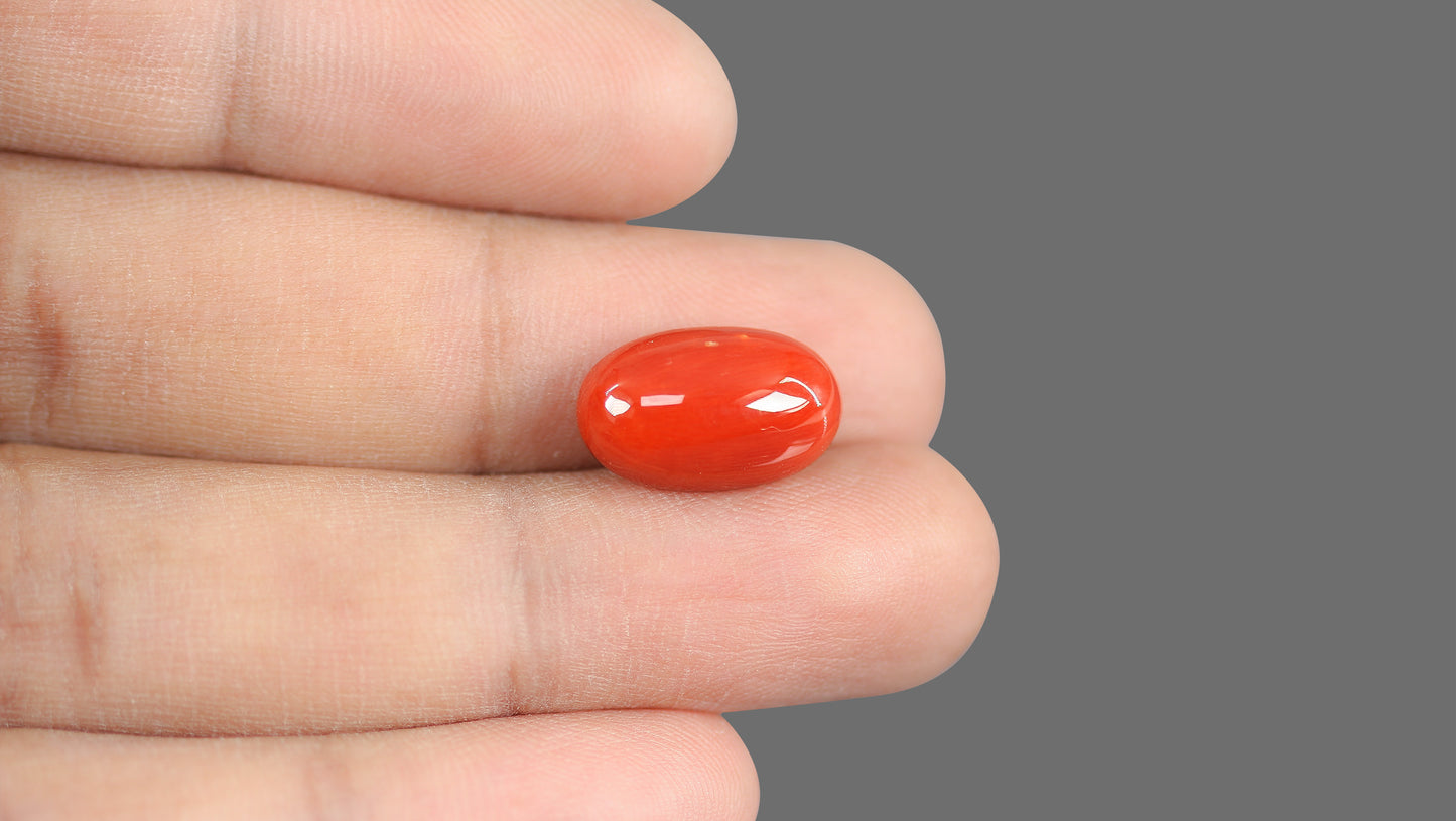 Natural Italian Red Coral (Moonga) 9.30 Carats