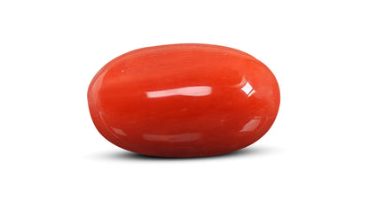 Natural Italian Red Coral (Moonga) 9.30 Carats