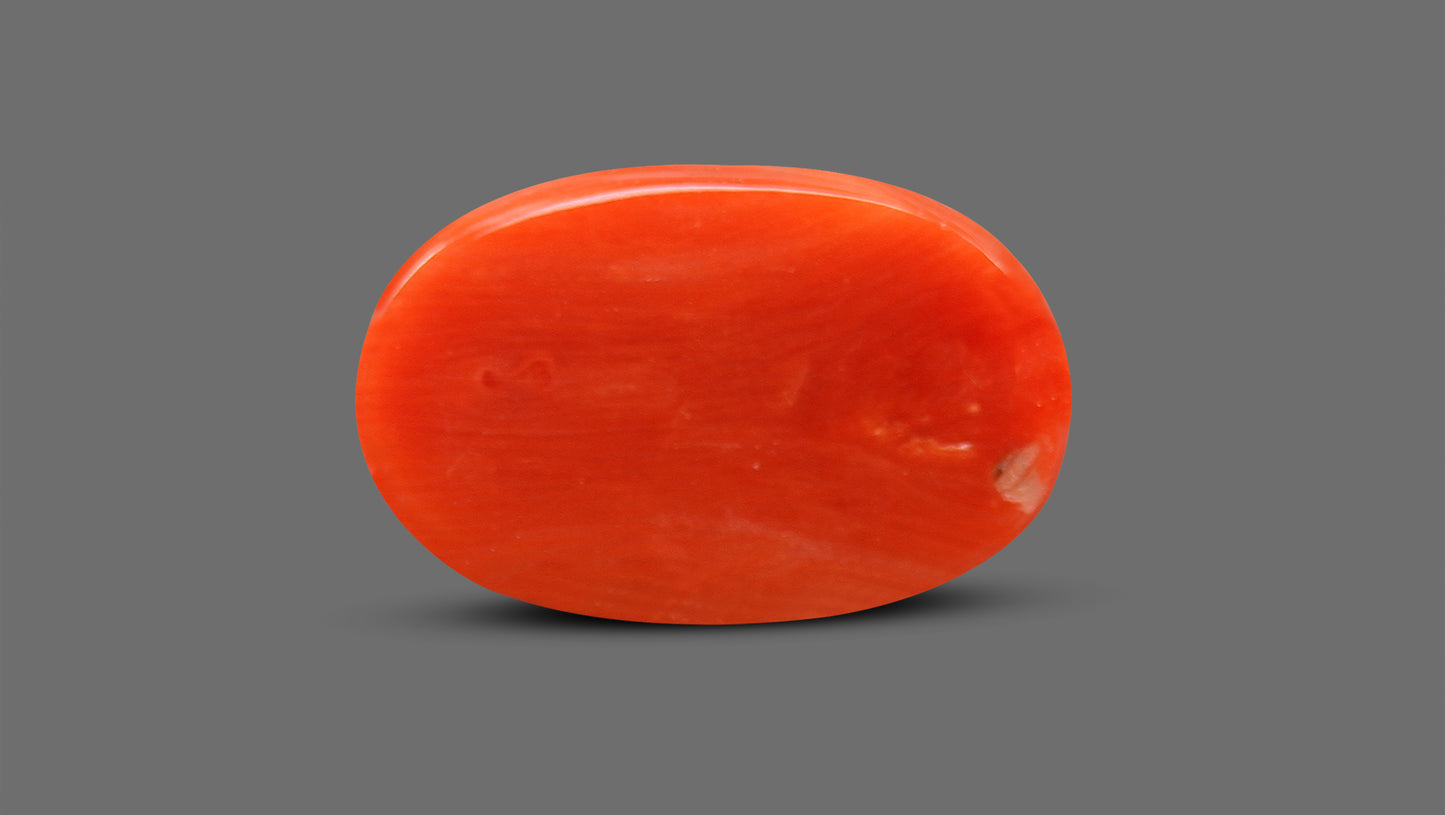 Natural Italian Red Coral (Moonga) 9.23 Carats