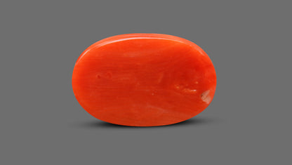 Natural Italian Red Coral (Moonga) 9.23 Carats