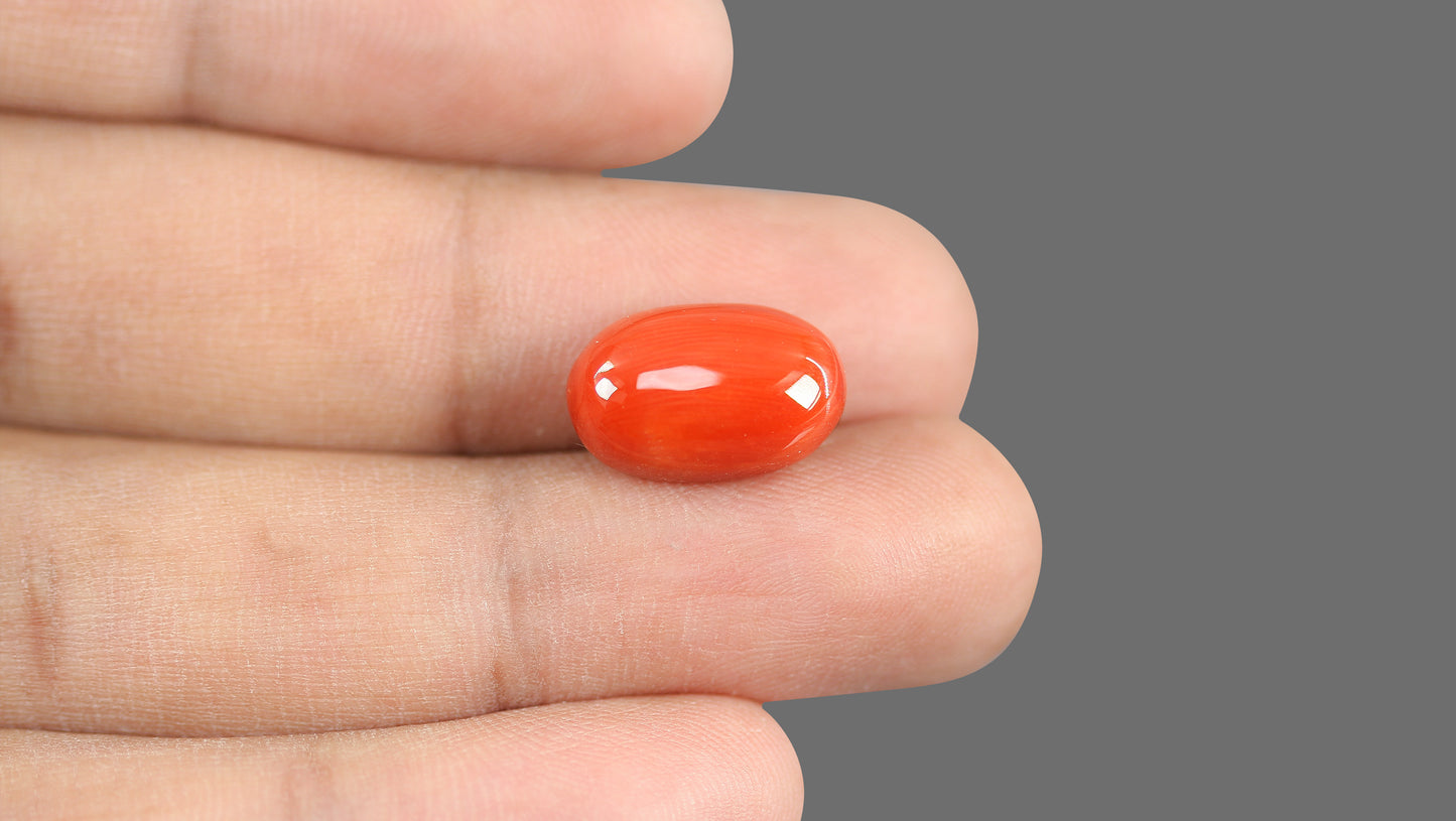 Natural Italian Red Coral (Moonga) 9.23 Carats